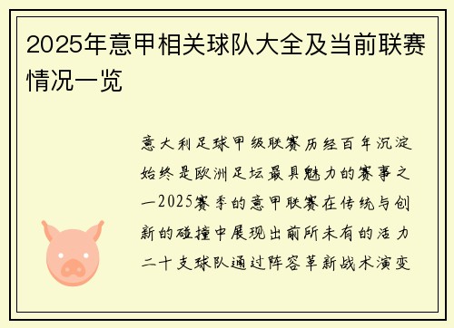 2025年意甲相关球队大全及当前联赛情况一览